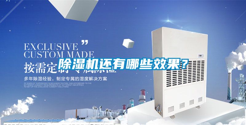 欧美黄色电影在线播放 除湿机还有哪些效果？