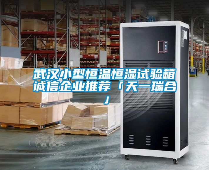 欧美黄色电影在线播放 武汉小型恒温恒湿试验箱诚信企业推荐「天一瑞合」