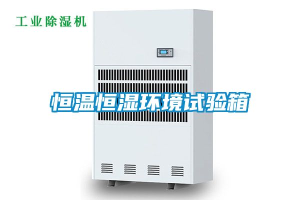 欧美黄色电影在线播放 恒温恒湿环境试验箱