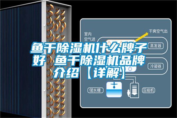 欧美黄色性爱视频网站 鱼干除湿机什么牌子好 鱼干除湿机品牌介绍【详解】