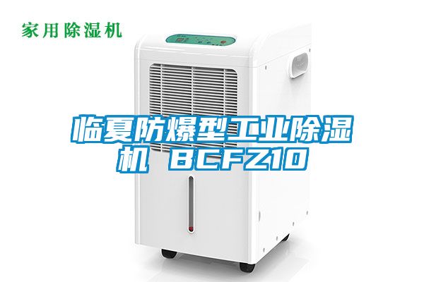 欧美黄色性爱视频网站 临夏防爆型工业除湿机 BCFZ10