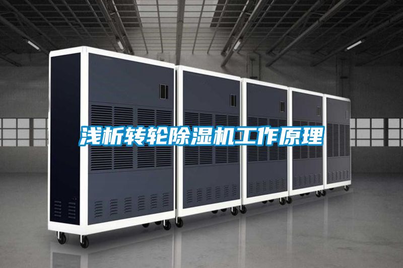欧美黄色性爱视频网站 浅析转轮除湿机工作原理