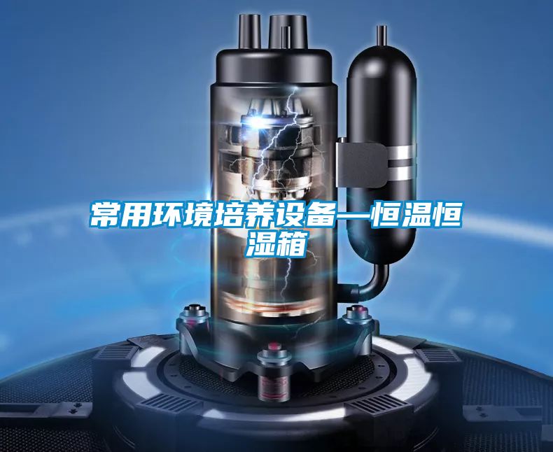 欧美黄色性爱视频网站 常用环境培养设备—恒温恒湿箱