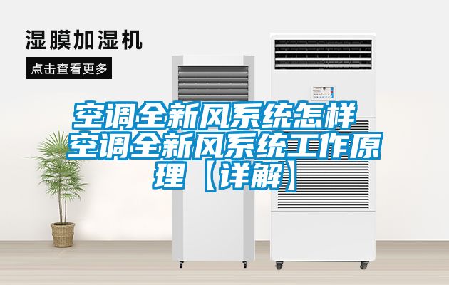 欧美黄色性爱视频网站 空调全新风系统怎样 空调全新风系统工作原理【详解】