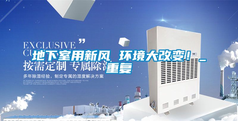 欧美黄色性爱视频网站 地下室用新风 环境大改变！_重复