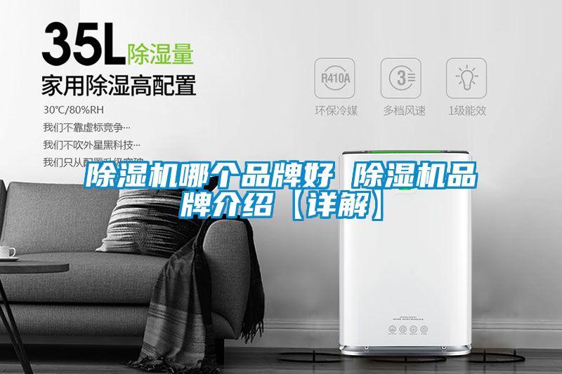 欧美黄色电影在线播放 除湿机哪个品牌好 除湿机品牌介绍【详解】