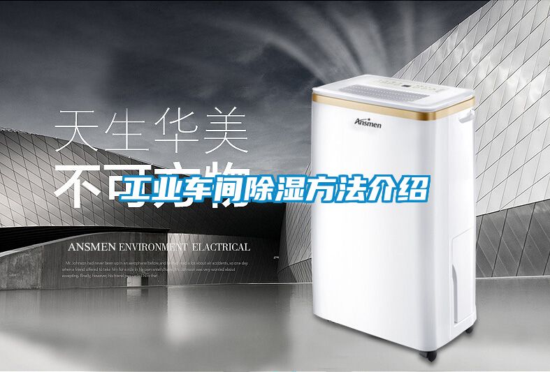 欧美黄色电影在线播放 工业车间除湿方法介绍