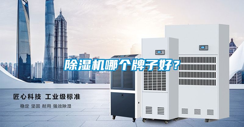 欧美黄色电影在线播放 除湿机哪个牌子好？