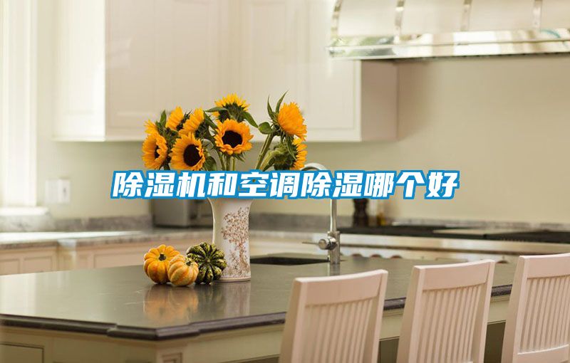 欧美黄色性爱视频网站 除湿机和空调除湿哪个好