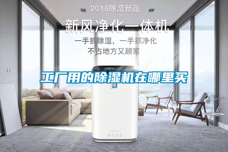 欧美成色手机在线观看 工厂用的除湿机在哪里买