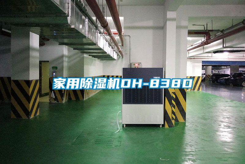 欧美黄色电影在线播放 家用除湿机DH-838D