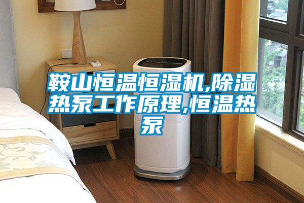 欧美黄色性爱视频网站 鞍山恒温恒湿机,除湿热泵工作原理,恒温热泵