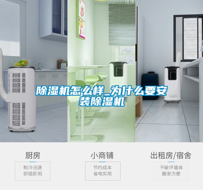 欧美成色手机在线观看 除湿机怎么样_为什么要安装除湿机