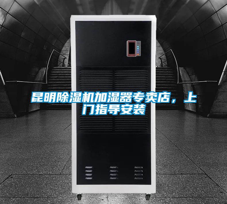 欧美黄色电影在线播放 昆明除湿机加湿器专卖店，上门指导安装