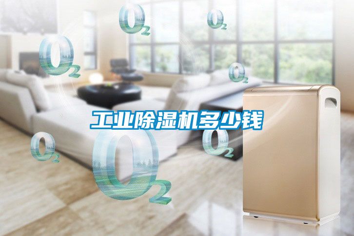 欧美黄色性爱视频网站 工业除湿机多少钱