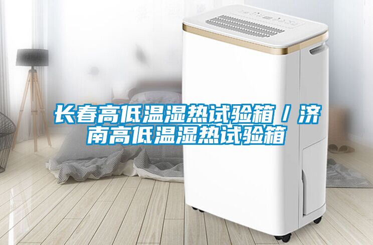 欧美黄色性爱视频网站 长春高低温湿热试验箱／济南高低温湿热试验箱