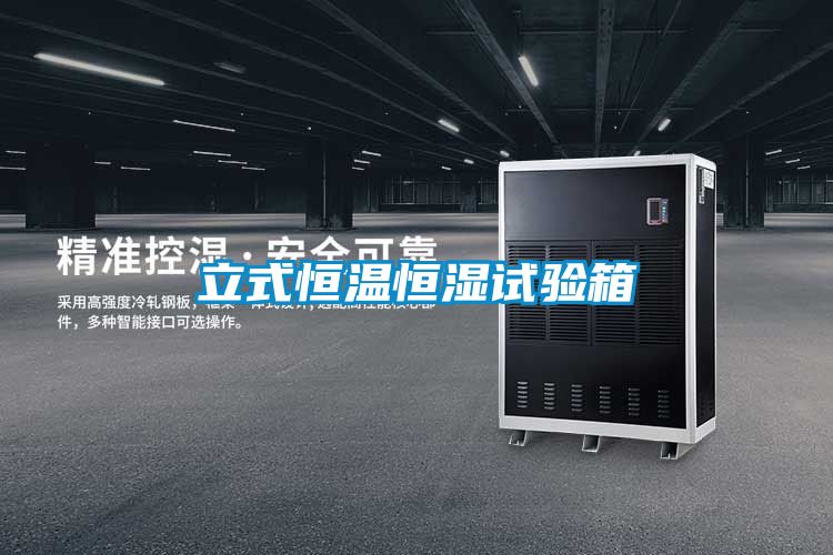 欧美黄色性爱视频网站 立式恒温恒湿试验箱