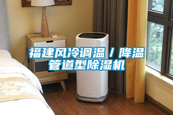 欧美黄色电影在线播放 福建风冷调温／降温管道型除湿机