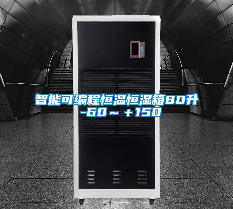 欧美黄色性爱视频网站 智能可编程恒温恒湿箱80升 -60～＋150℃