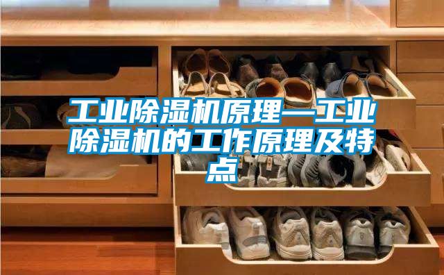 欧美黄色性爱视频网站 工业除湿机原理—工业除湿机的工作原理及特点