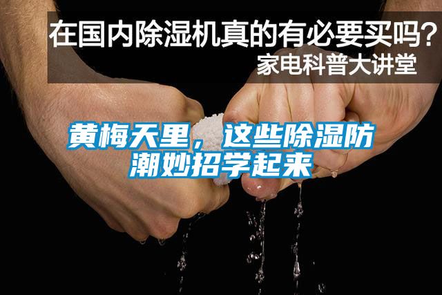 欧美黄色性爱视频网站 黄梅天里，这些除湿防潮妙招学起来