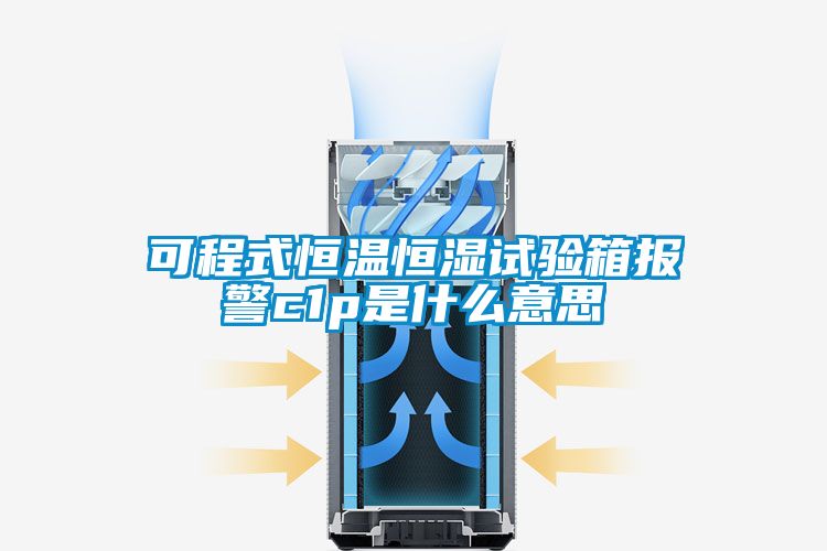 欧美黄色性爱视频网站 可程式恒温恒湿试验箱报警c1p是什么意思