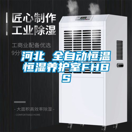欧美黄色电影在线播放 河北 全自动恒温恒湿养护室FHBS