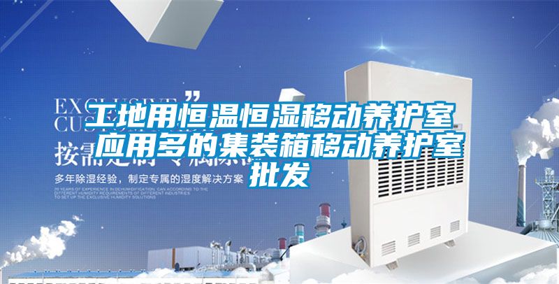 欧美黄色电影在线播放 工地用恒温恒湿移动养护室 应用多的集装箱移动养护室批发