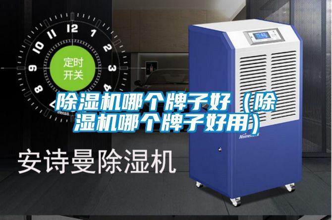 欧美黄色电影在线播放 除湿机哪个牌子好（除湿机哪个牌子好用）