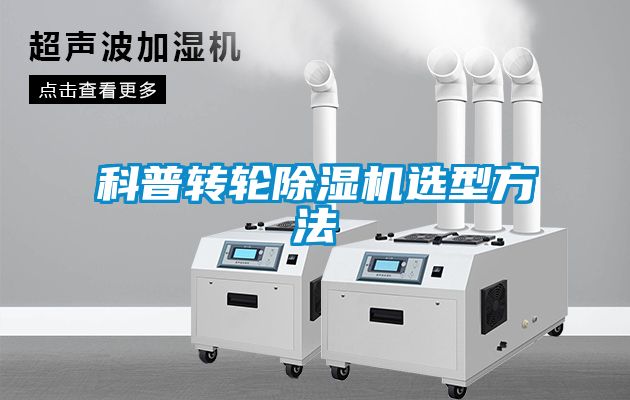欧美黄色电影在线播放 科普转轮除湿机选型方法