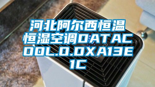 欧美黄色性爱视频网站 河北阿尔西恒温恒湿空调DATACOOL.O.DXA13E1C