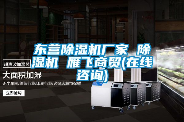 欧美黄色电影在线播放 东营除湿机厂家 除湿机 雁飞商贸(在线咨询)