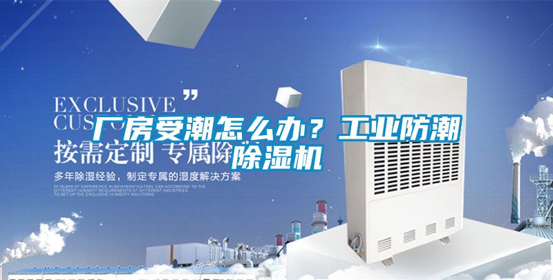 欧美成色手机在线观看 厂房受潮怎么办？工业防潮除湿机