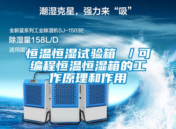 欧美成色手机在线观看 恒温恒湿试验箱 ／可编程恒温恒湿箱的工作原理和作用