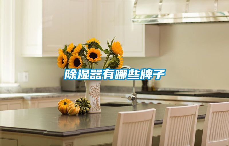 欧美黄色电影在线播放 除湿器有哪些牌子