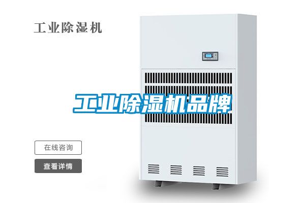 欧美黄色性爱视频网站 工业除湿机品牌