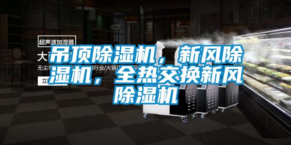 欧美黄色性爱视频网站 吊顶除湿机，新风除湿机，全热交换新风除湿机