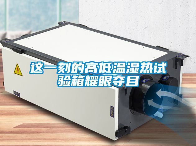 欧美成色手机在线观看 这一刻的高低温湿热试验箱耀眼夺目
