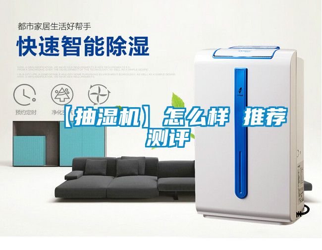 欧美黄色性爱视频网站 【抽湿机】怎么样 推荐 测评