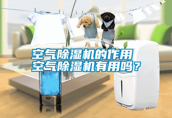 欧美黄色性爱视频网站 空气除湿机的作用 空气除湿机有用吗？