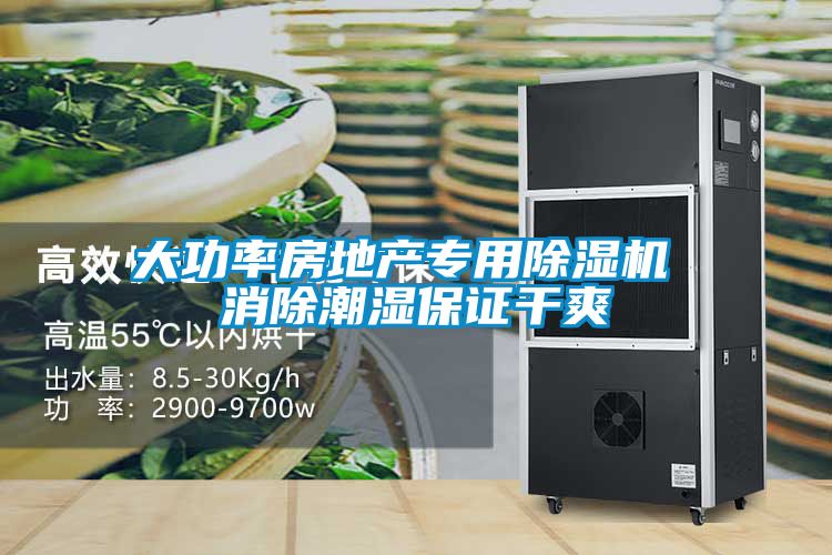 欧美成色手机在线观看 大功率房地产专用除湿机 消除潮湿保证干爽