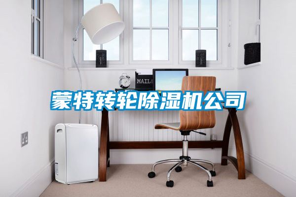 欧美黄色性爱视频网站 蒙特转轮除湿机公司