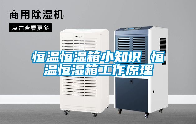 欧美黄色性爱视频网站 恒温恒湿箱小知识 恒温恒湿箱工作原理