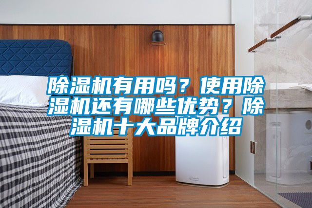 欧美黄色电影在线播放 除湿机有用吗？使用除湿机还有哪些优势？除湿机十大品牌介绍