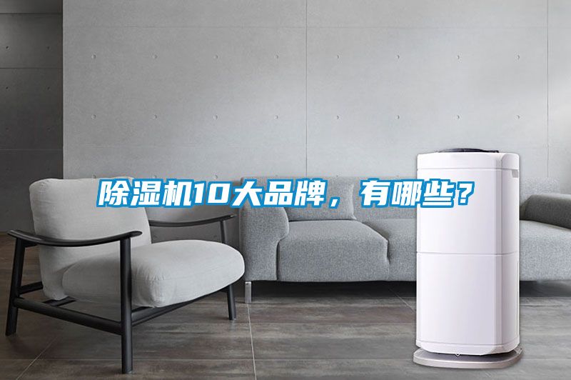 欧美黄色电影在线播放 除湿机10大品牌，有哪些？
