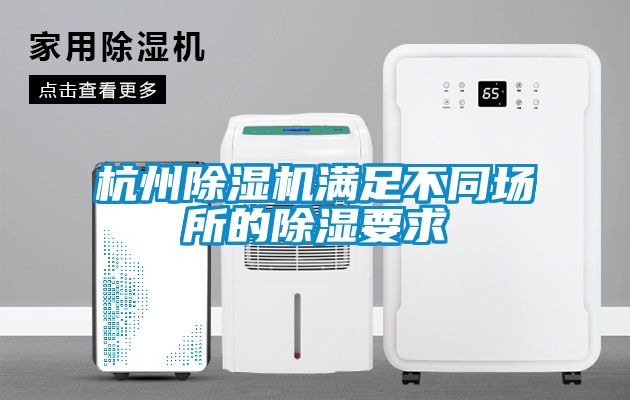 欧美黄色性爱视频网站 杭州除湿机满足不同场所的除湿要求