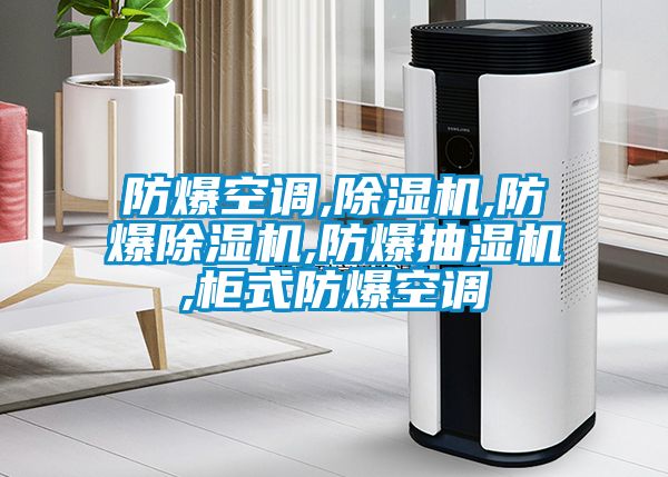 欧美黄色电影在线播放 防爆空调,除湿机,防爆除湿机,防爆抽湿机,柜式防爆空调