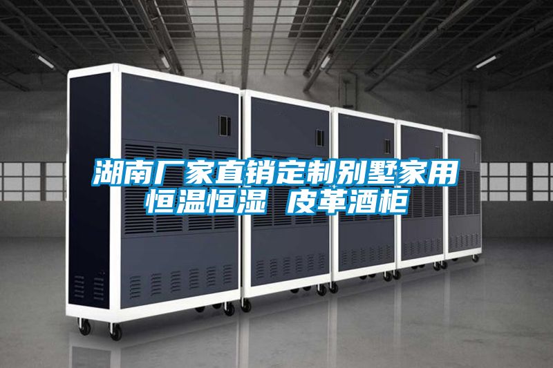 欧美黄色性爱视频网站 湖南厂家直销定制别墅家用恒温恒湿 皮革酒柜