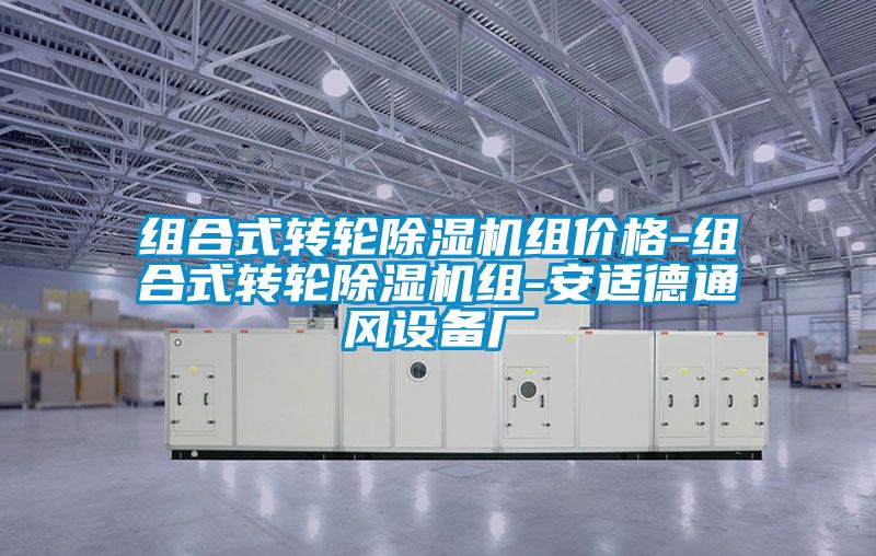 欧美黄色电影在线播放 组合式转轮除湿机组价格-组合式转轮除湿机组-安适德通风设备厂