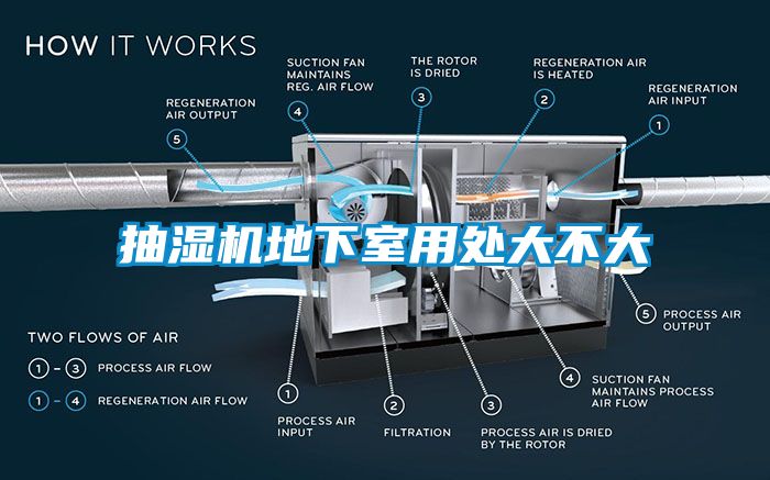 欧美成色手机在线观看 抽湿机地下室用处大不大
